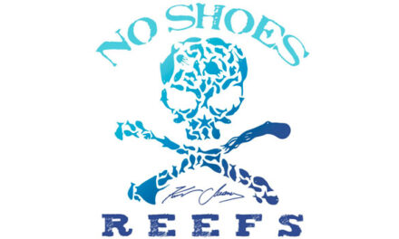 Kenny Chesney’s No Shoes Reefs co-launches 32 acre underwater reef park
