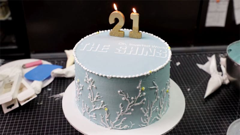 The Shins announce 21st Birthday Tour