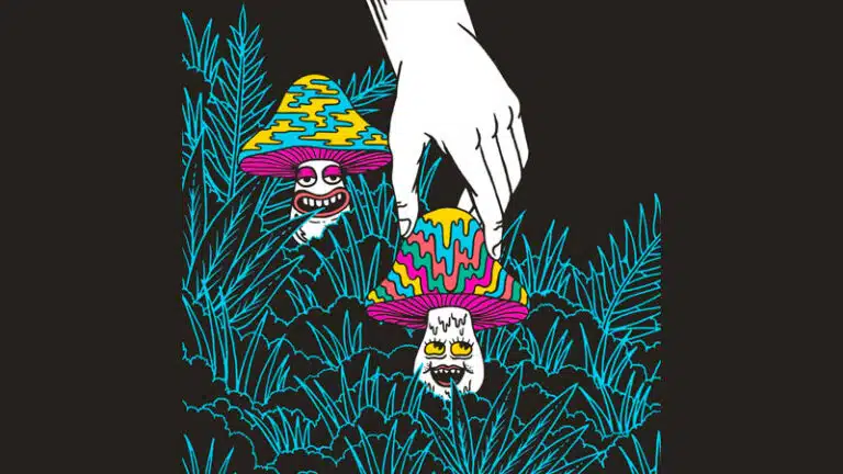 Grateful Dead releasing Madison Square Garden box set