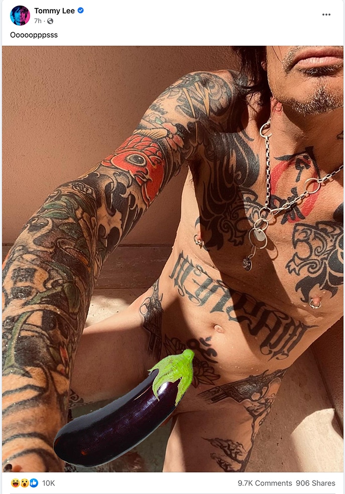 Tommy Lee shares nude photo
