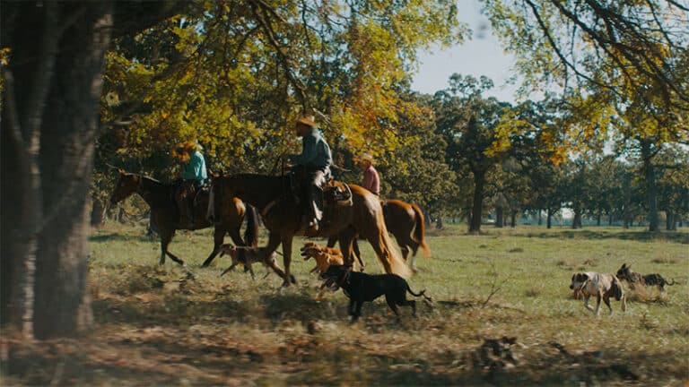 Cody Johnson premieres ‘Human’ video