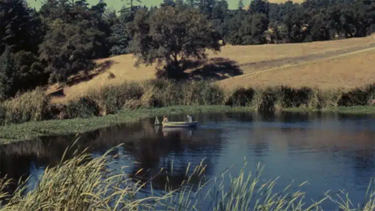 Neil Young announces ‘Harvest Time’ film
