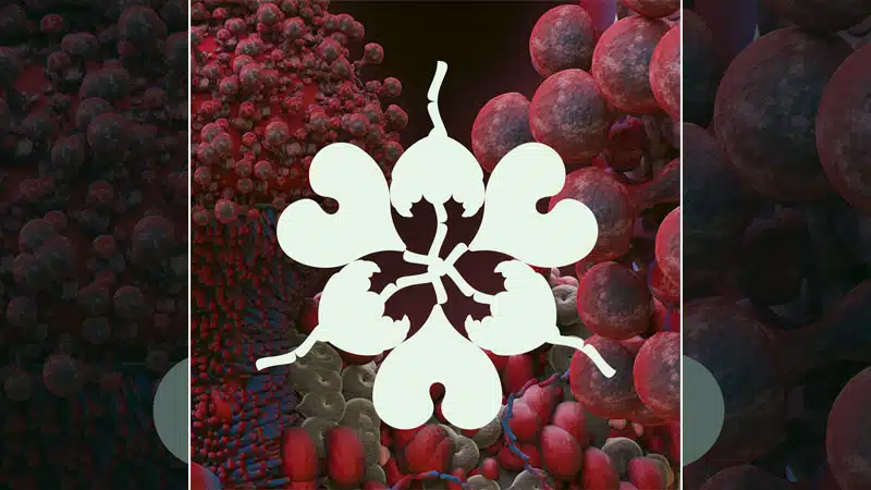 Björk releases ‘Ovule’ remix