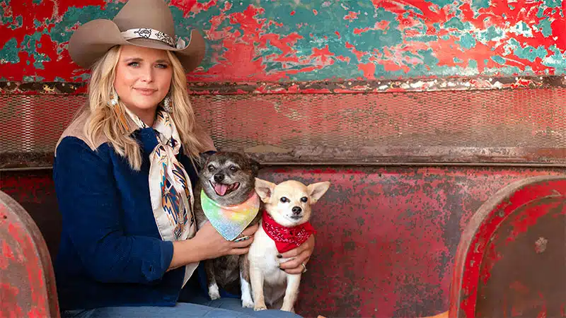 Miranda Lambert’s MuttNation Foundation, Tractor Supply award over 0k to 52 animal shelters