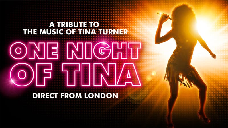 Tina Turner tribute concert touring North America