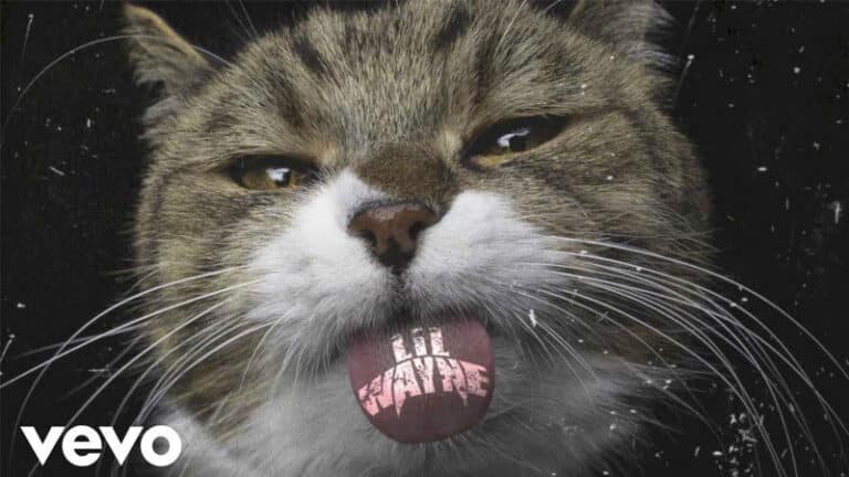 Lil Wayne shares ‘Kat Food’