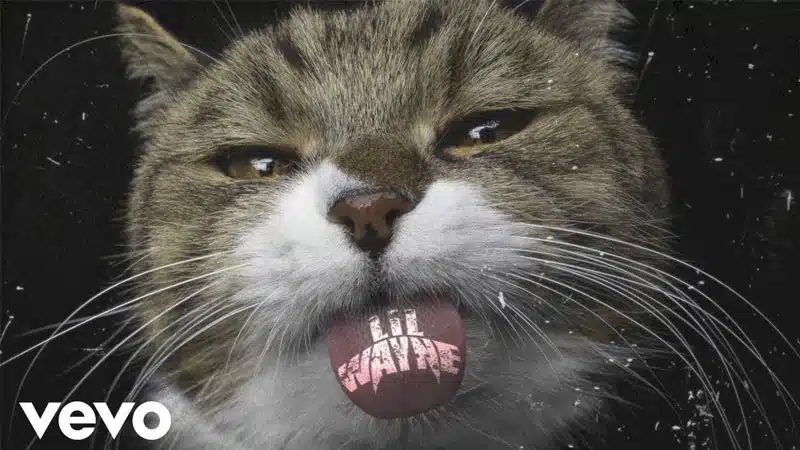 Lil Wayne shares ‘Kat Food’