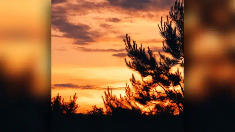 Oliver Anthony releases ‘Cowboys and Sunsets’