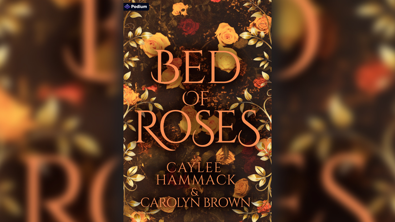 Caylee Hammack pens romance novel to accompany sophomore album