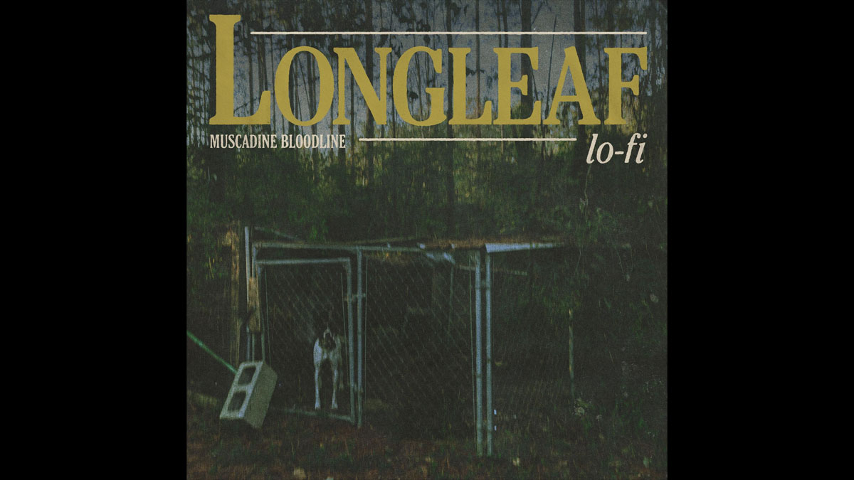 Muscadine Bloodline announces second 2025 LP